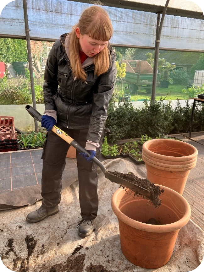 A person in a black jacket and blue gloves is shoveling soil into a large terracotta pot inside a greenhouse. Two empty pots sit nearby, and plants and gardening tools are visible in the background.