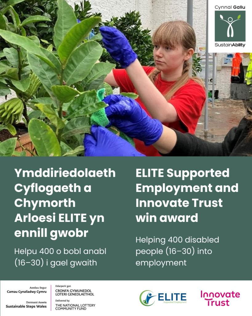 A person in a red shirt tends to plants with support from another person wearing blue gloves. The image is split into two sections with bilingual text. The Welsh section reads: "Ymddiriedolaeth Cyflogaeth a Chymorth Arloesi ELITE yn ennill gwobr Helpu 400 o bobl anabl (16-30) i gael gwaith." The English section reads: "ELITE Supported Employment and Innovate Trust win award Helping 400 disabled people (16-30) into employment." Logos for Cynnal Gofal SustainAbility, ELITE, Innovate Trust, and other partners appear at the bottom.