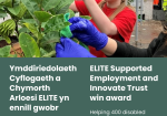 A person in a red shirt tends to plants with support from another person wearing blue gloves. The image is split into two sections with bilingual text. The Welsh section reads: "Ymddiriedolaeth Cyflogaeth a Chymorth Arloesi ELITE yn ennill gwobr Helpu 400 o bobl anabl (16-30) i gael gwaith." The English section reads: "ELITE Supported Employment and Innovate Trust win award Helping 400 disabled people (16-30) into employment." Logos for Cynnal Gofal SustainAbility, ELITE, Innovate Trust, and other partners appear at the bottom.